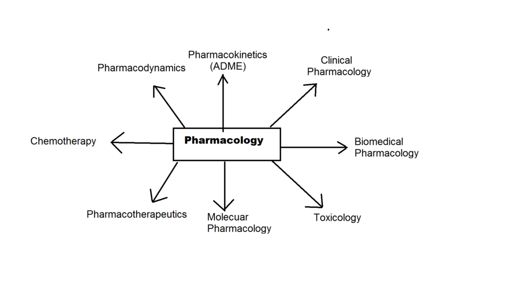 Branches of Pharmacology
1 Pharmacokinetics
